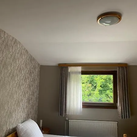 Maison d'hôtes Rheingoldschaenke 2*