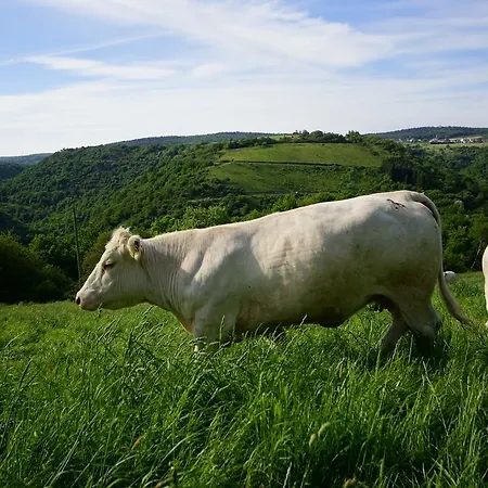 Rheingoldschaenke Casa de hóspedes