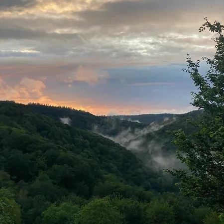 Rheingoldschaenke Maison d'hôtes Oberwesel