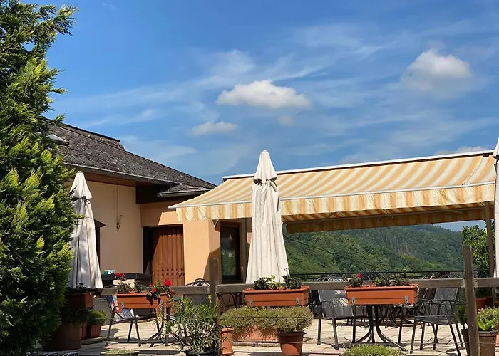 Rheingoldschaenke Гостевой дом 2*