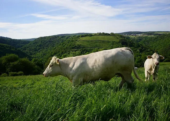 Rheingoldschaenke Casa de hóspedes