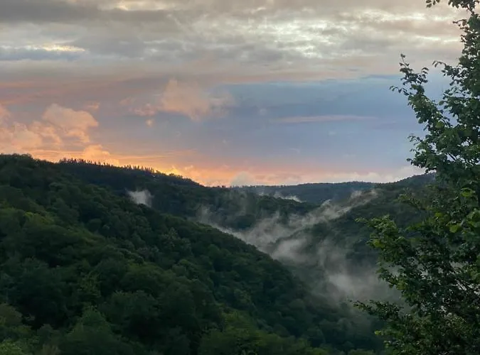 Rheingoldschaenke ゲストハウス オーバーヴェセル